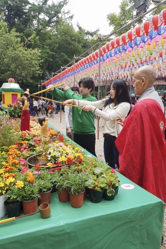 Partake in the Vesak Ceremony at Yonggungsa Cham Joeun Uri Temples